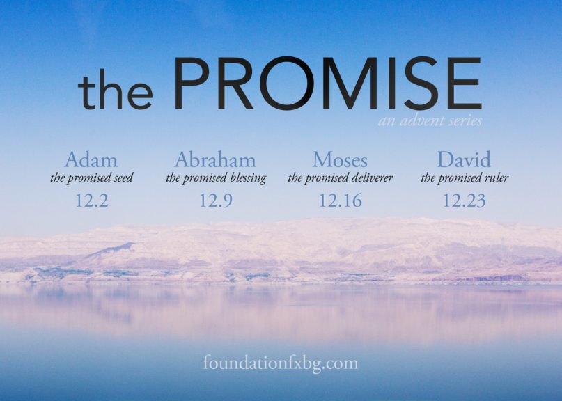 Featured image for “The Promised Deliverer”